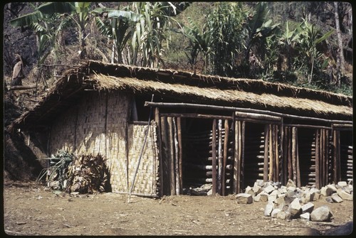 Pig house at Kwiop Duwai, government project,to house boar to improve local breeding stock