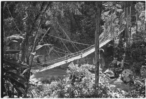 Jimi River: bridge between Kwiop and Tabibuga