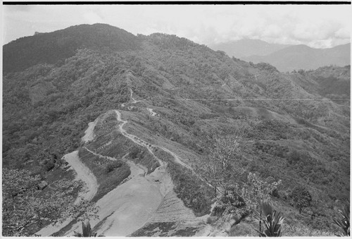 Bismarck Range: trail along edge of mountains