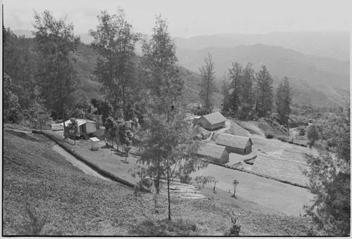 Tabibuga patrol post: government buildings, patrol house at left