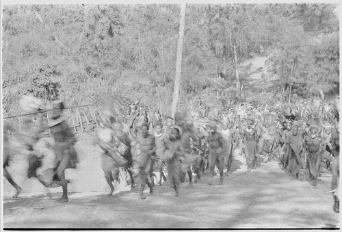 Pig festival, pig sacrifice, Kompiai: decorated allies arrive on dance ground