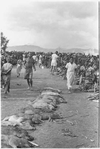 Government-sponsored festival in Tabibuga: pigs and other foods to be distributed, patrol officer John (Jack) Edwards in background