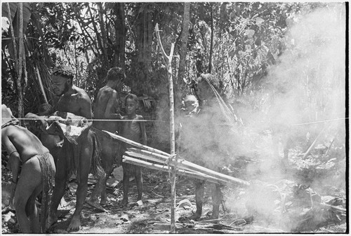 Pig festival, uprooting cordyline ritual: food wrapped in leaves (r) on a spit, man (l) brings pork to earth oven