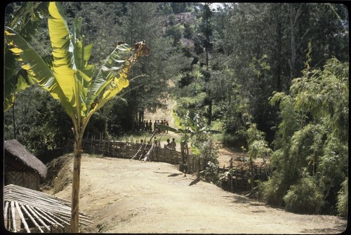 Duwai fences and houses