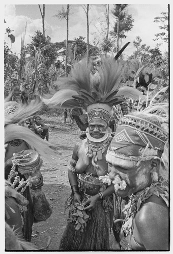 Bride price for Mitsi: bride (Mitsi) in center wears headdress, shell valuables, woven armbands and belts