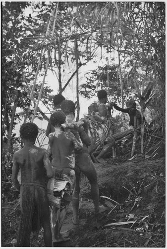 Mortuary ritual: women, their faces and bodies smeared with clay as sign or mourning, carry corpse wrapped for burial