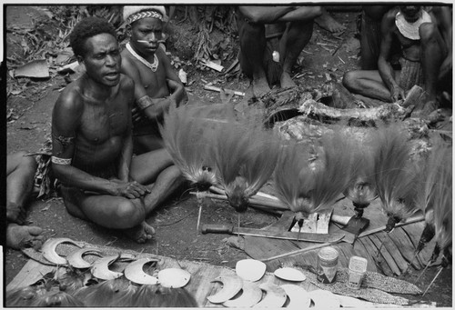 Bride price for Maima: Tsapinde distributes wealth received, including Raggiana bird-of-paradise feathers, cowrie shell bands, kina shells, and pork