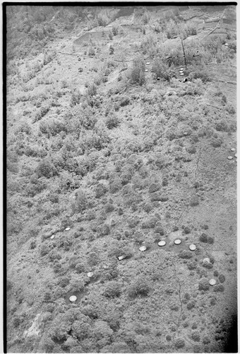 Aerial view of village