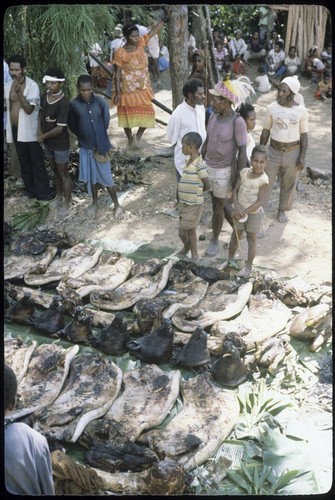 Ritual exchange: pork and cassowary meat