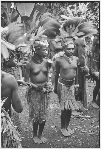 Pig festival, wig ritual: decorated adolescent girls at presentation of wigged men