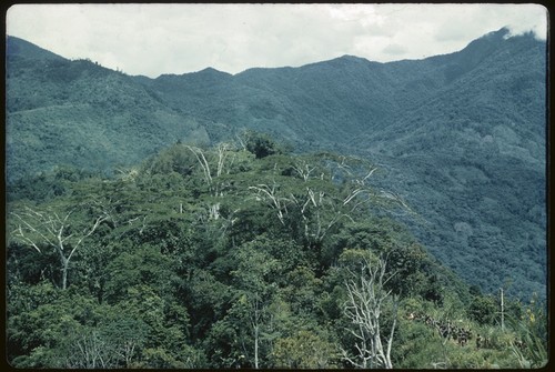 Kwiop area, forested mountains