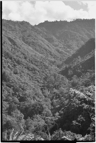 Bismarck Range: valley between ridges