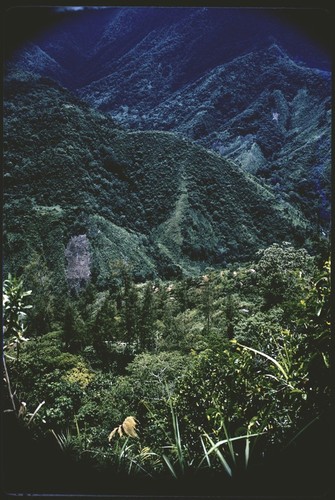 Tagaimbango houses, seen from Kwiop