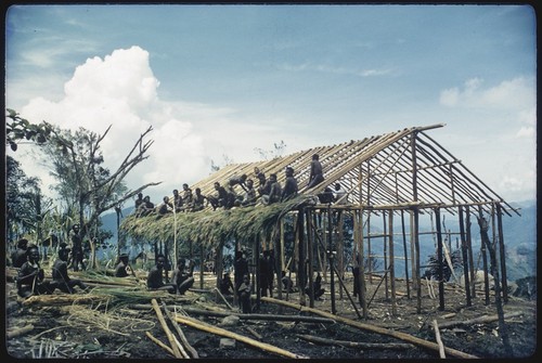 House-building: Kwiop men thatching roof of the Cooks' house