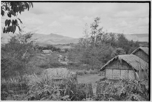 Houses and gardens