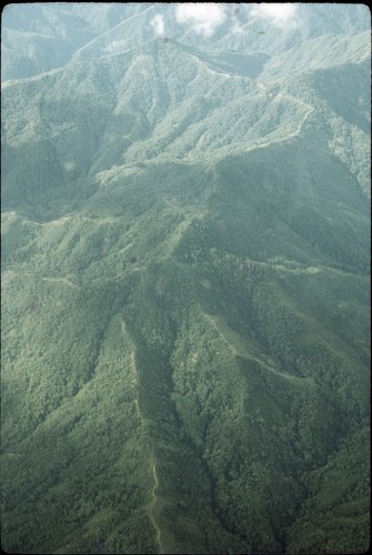 Kwiop, aerial view of ridge-top trails and gardens