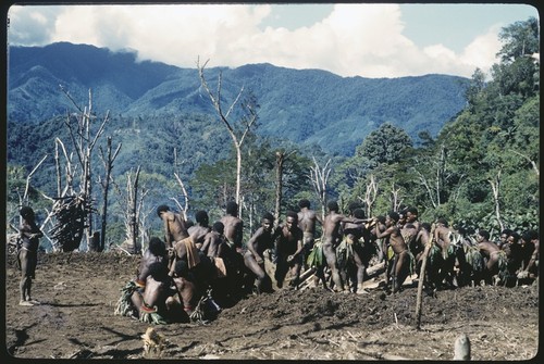 House-building: Kwiop men work together to remove stone, perparing site for the Cooks' house