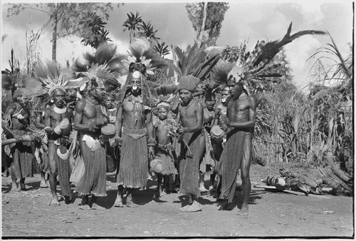 Pig festival, pig sacrifice, Kwiop: inside ritual fence, men prepare to distribute bundles of salted pork (right) to allies