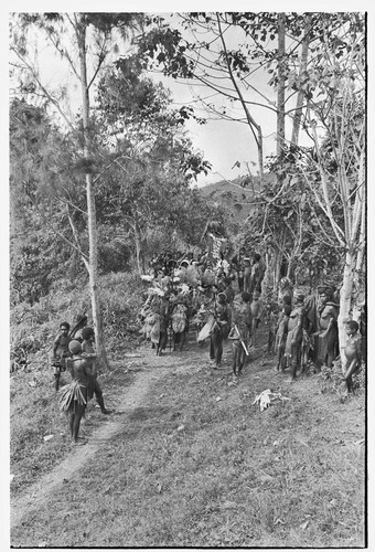 Bride price for Mitsi: payment banner of feather and shell valuables, carried by clan of husband, Tsapinde