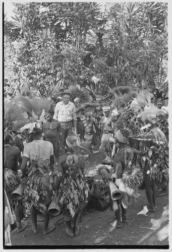 Bride price for Mitsi: decorated members of the groom's group dance in the bride's village, Edwin Cook observes