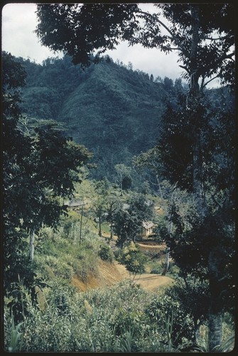 Tabibuga, government rest house