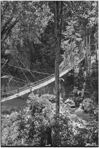 Jimi River: bridge between Kwiop and Tabibuga