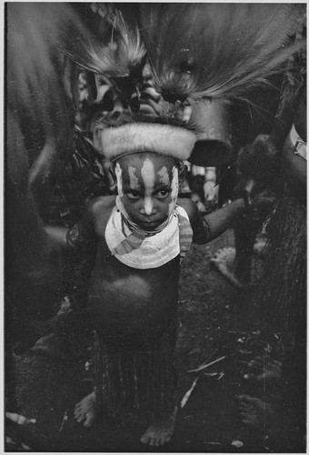 Bride price for Maima: decorated child wearing kina shell and headdress, probably a child of the bride (Maima) and groom (Molo)