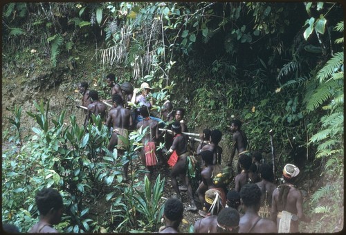 Nancy Cook is carried to Kompiai from Kabeng by group of men