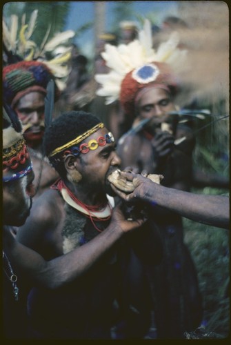 Pig festival, pig sacrifice, Kwiop: ritual exchange with war allies, men eat pork at fence in Kwiop