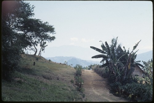 Kwiop, walking track away from Cook-Pflanz house