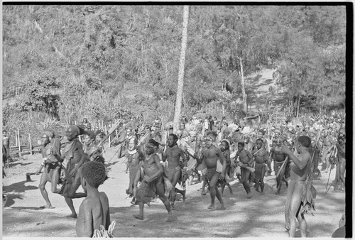 Pig festival, pig sacrifice, Kompiai: armed and decorated allies rush the ritual fence