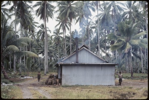 Copra drying shed, Siar Plantation