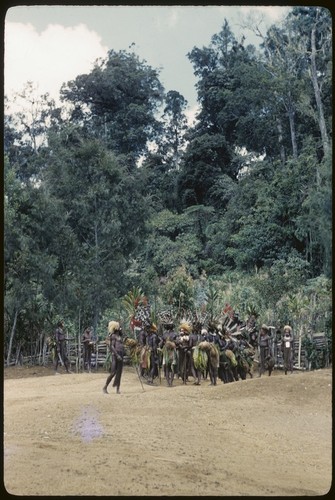 Pig festival, singsing, Kompiai: decorated men on the dance ground