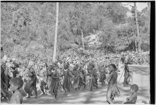 Pig festival, pig sacrifice, Kompiai: armed and decorated allies chant on the dance ground, approaching ritual fence