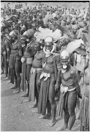 Government-sponsored festival in Tabibuga: luluais in line, large crowd behind