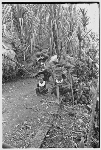 Bride price for Mitsi: Kongf (l), young daughter of Mitsi and Tsapinde, with children wearing headdresses and shell valuables