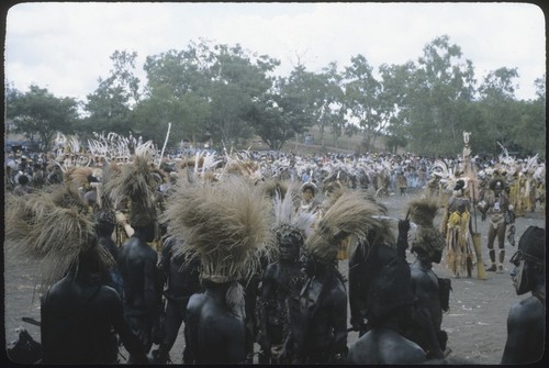 Port Moresby show: dancers with grass headdresses