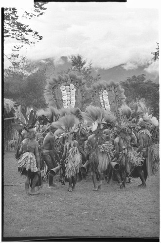 Bride price ritual: payment banners of shell and feather valuables, carried by decorated men from the groom's group