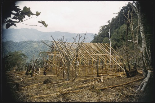 House-building: in Kwiop, frame of the Cooks' house