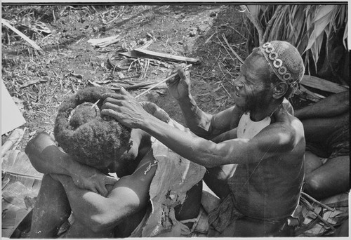 Pig festival, wig ritual: hair is pulled around wig frame