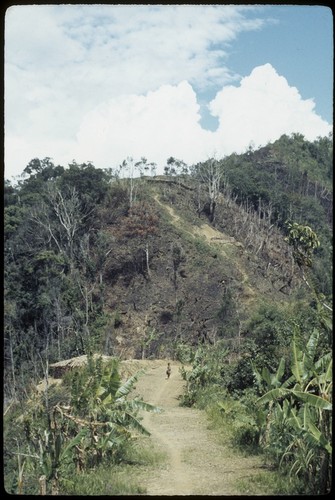 Kwiop Duwai area, garden