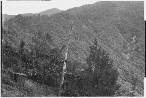 Bismarck Range mountains, as seen from Cook's house