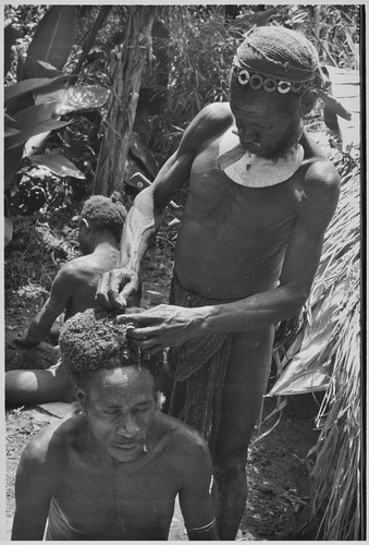 Pig festival, wig ritual: hair is fastened to wig frame