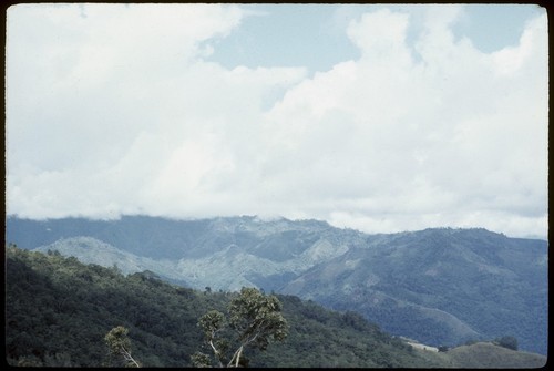 Kwiop Yamba from Duwai B, image 3 left to right