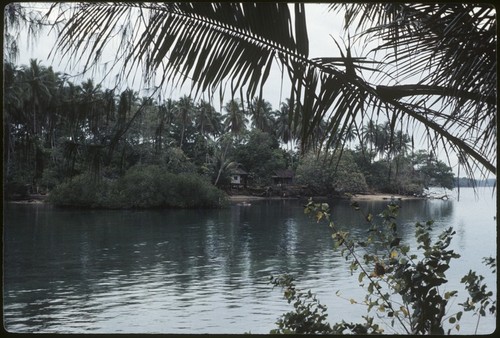 Siar Plantation, village houses