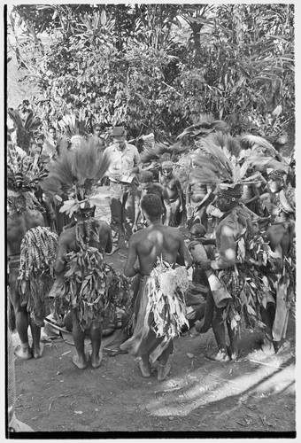 Bride price for Mitsi: decorated members of the groom's group dance in the bride's village, Edwin Cook observes