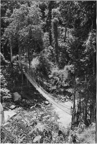 Jimi River: bridge between Kwiop and Tabibuga