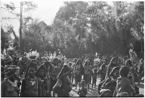 Pig festival, pig sacrifice, Kompiai: decorated women and children inside ritual fence