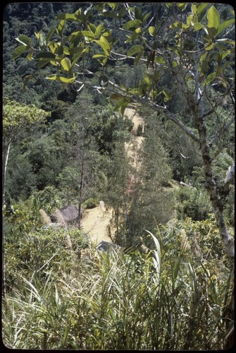 Trail seen from Kwiop