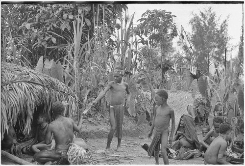 Pig festival, uprooting cordyline ritual: men outside sacred stone house, note pig jawbone display